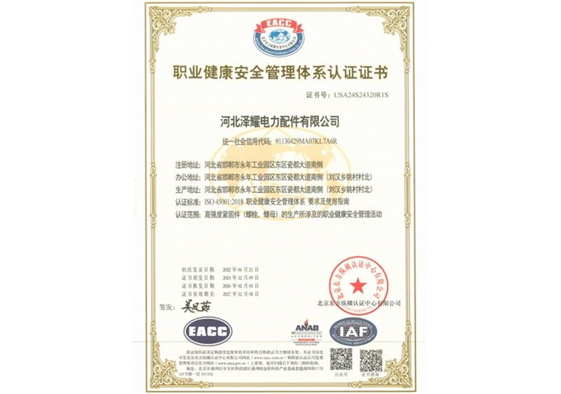 ISO 45001 Occupational Health and Safety Management System Certificate
